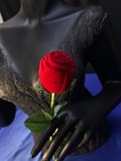 VOG KIRMIZI GÜL MODEL TEK TAŞ PIRLANTA, ALTIN VE GÜMÜŞ KUTUSU